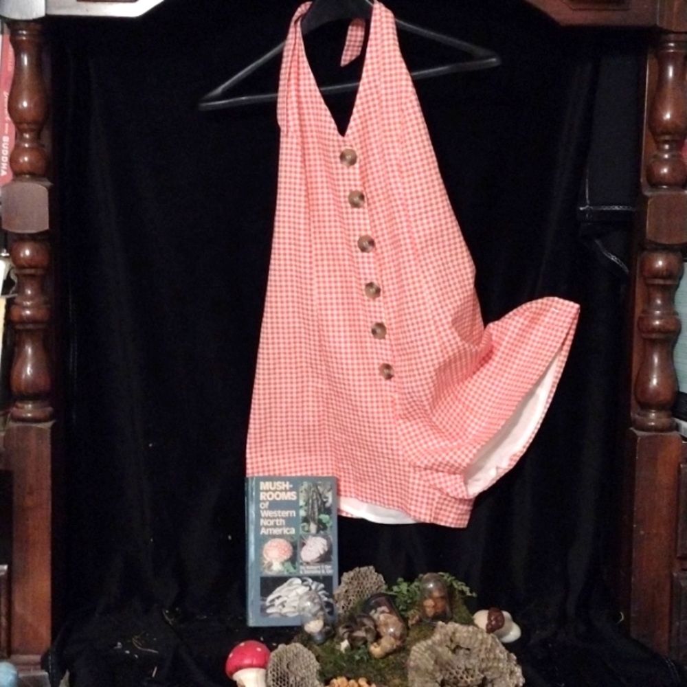 Urban outfitters size small orange and white gingham button front necktie romper